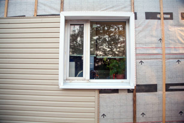 Best Residential Vinyl Siding Installation  in USA